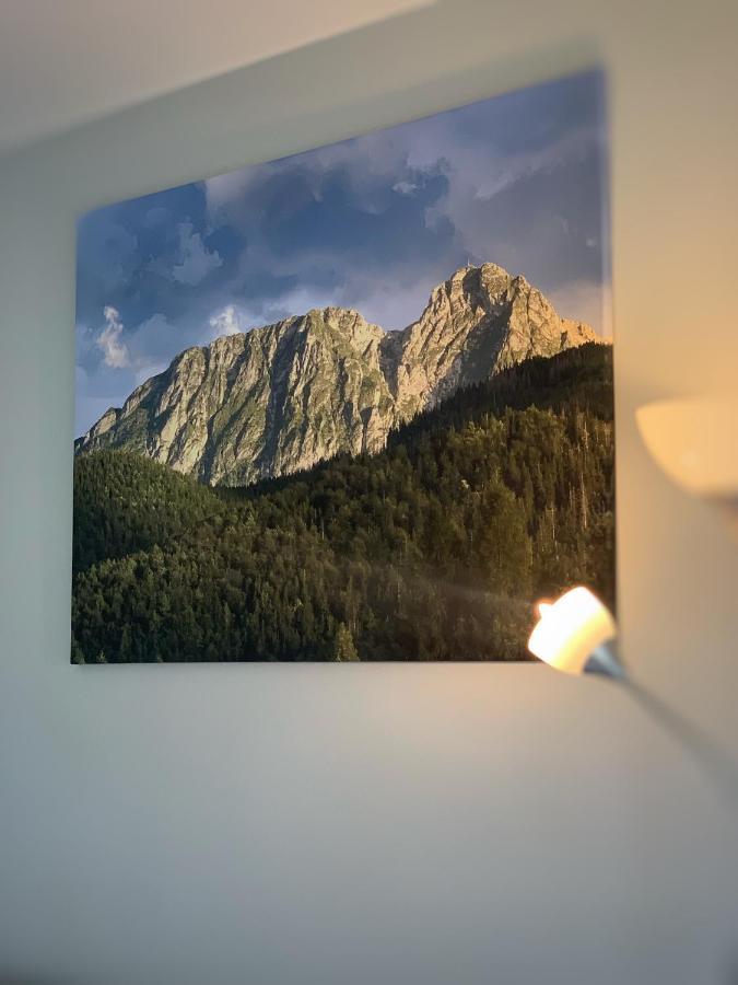 Apartament Lesny Z Kominkiem - Viva Pod Giewontem Apartamenty Ζακοπάνε Εξωτερικό φωτογραφία
